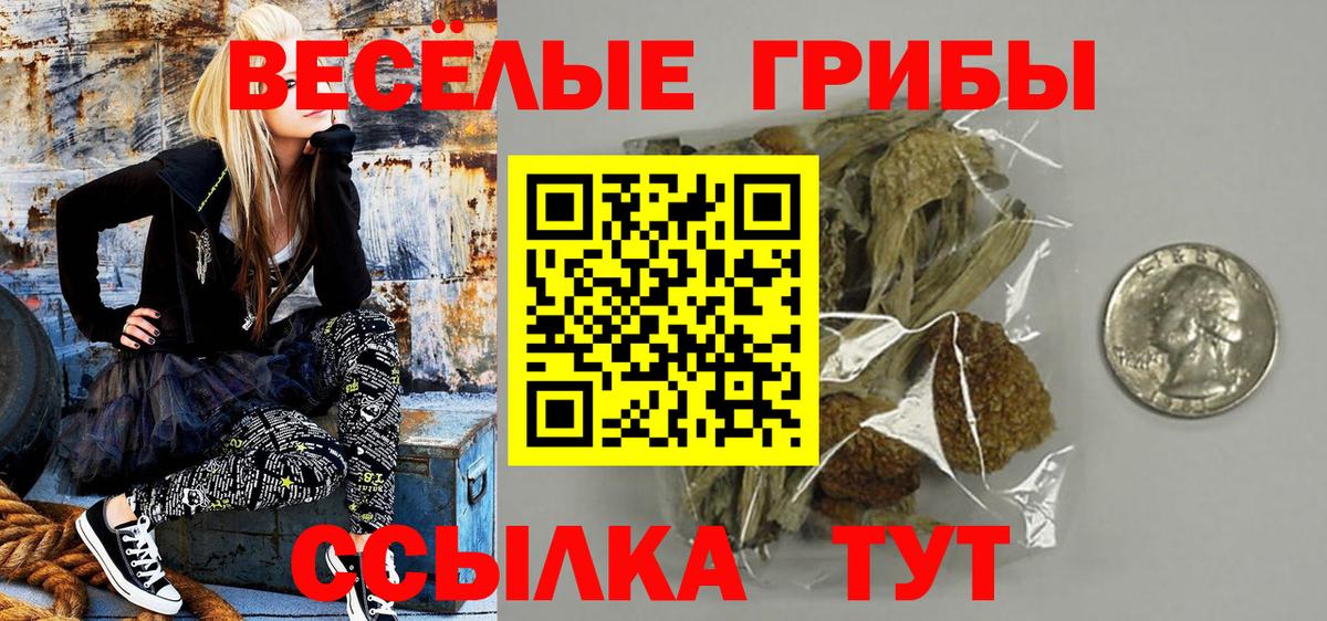 Галлюциногенные грибы Psilocybine cubensis Аксай