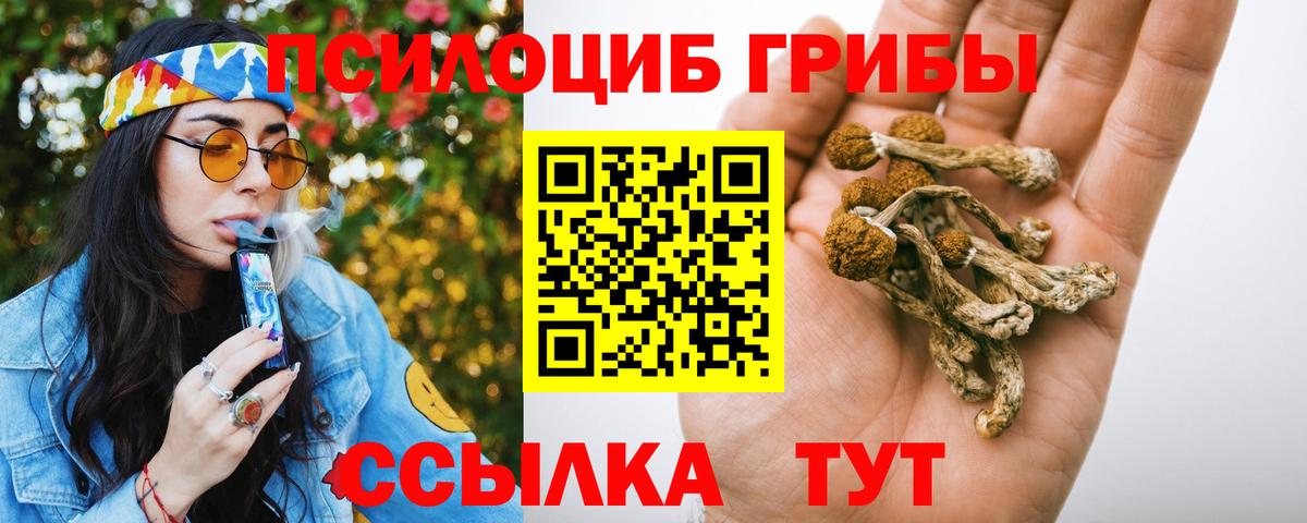 Псилоцибиновые грибы GOLDEN TEACHER  Псилоцибиновые грибы ЛСД  Аксай  Вход с VPN 